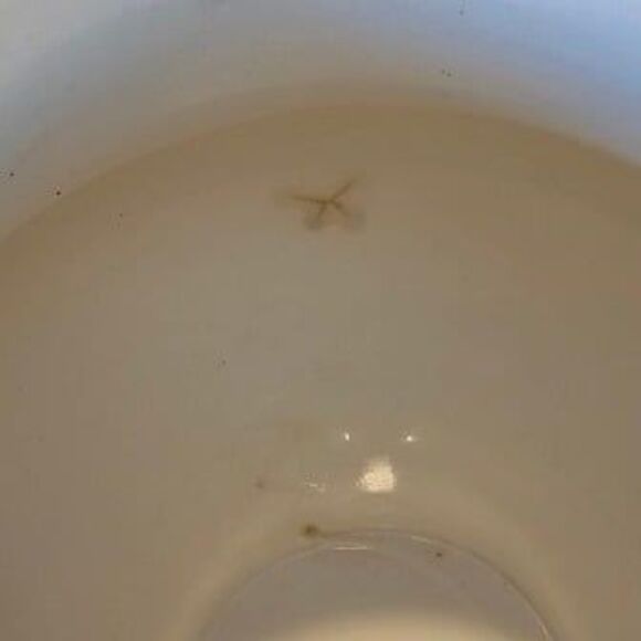 Antique K.T.&K. Co. Semi-Vitreous Porcelain Pitcher Floral Pattern Gold Trim - Picture 5 of 7